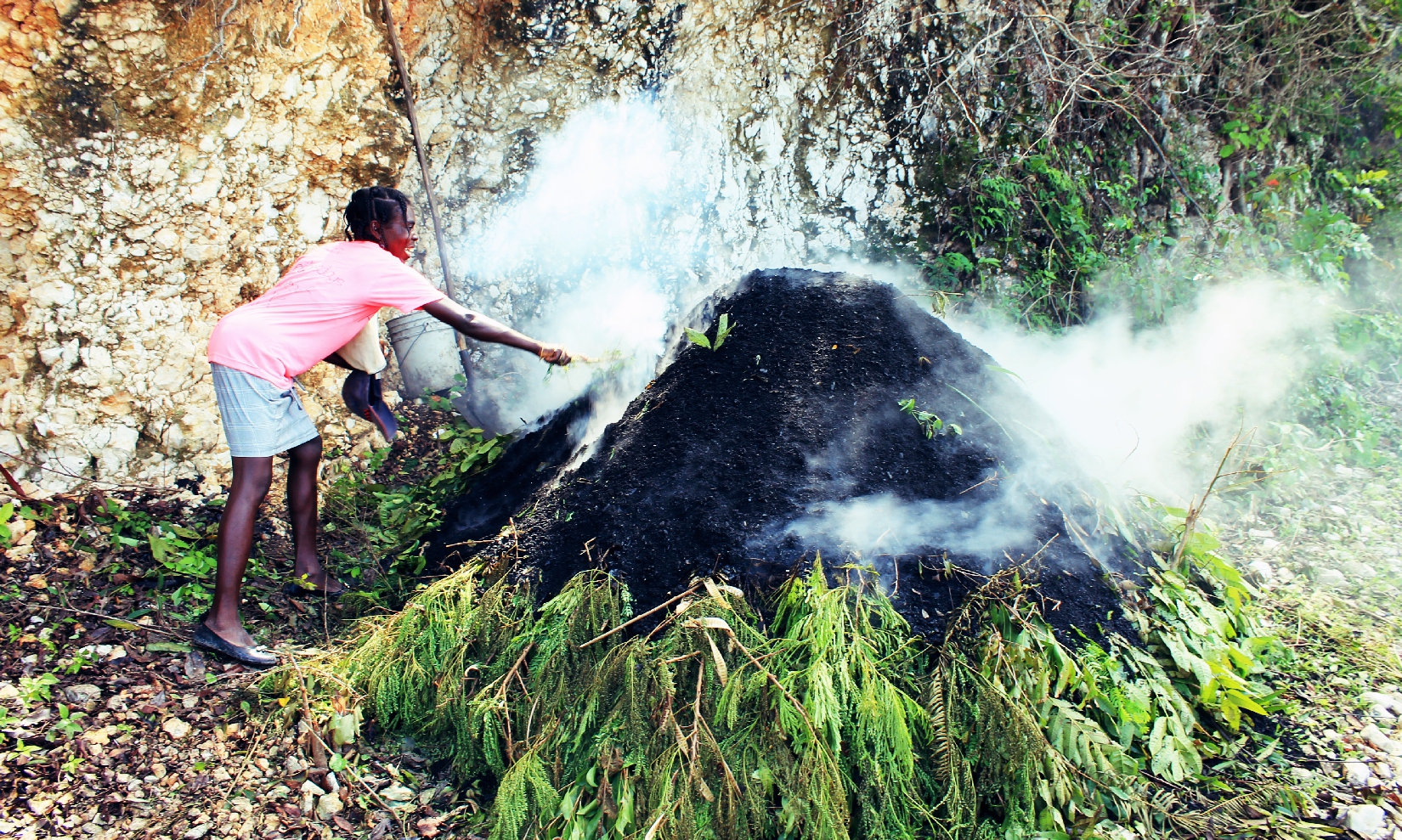 Environnement: remplacer le charbon de bois par le gaz propane comme énergie de cuisson