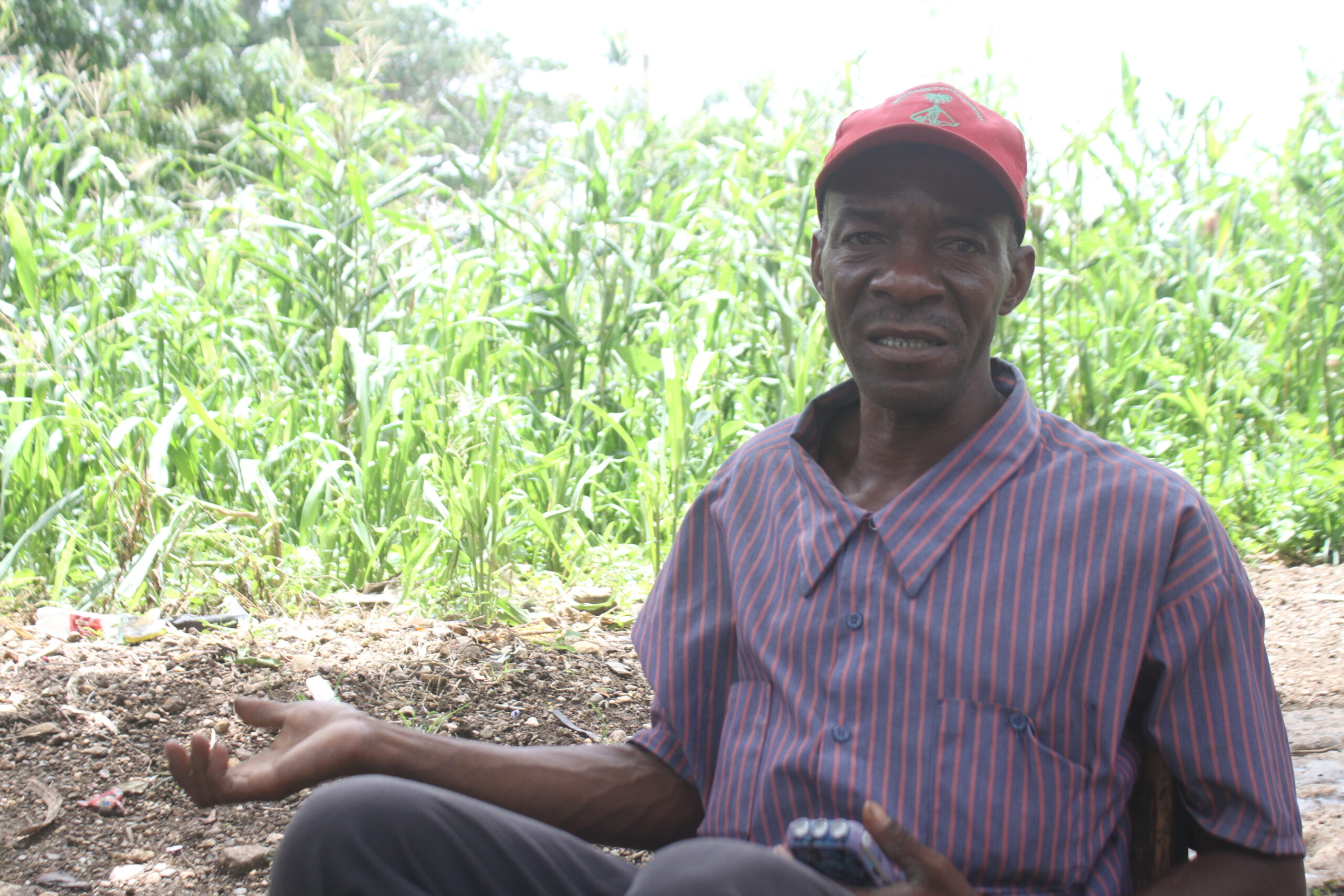 L’agriculture climato intelligente : où en sommes-nous en Haïti ?
