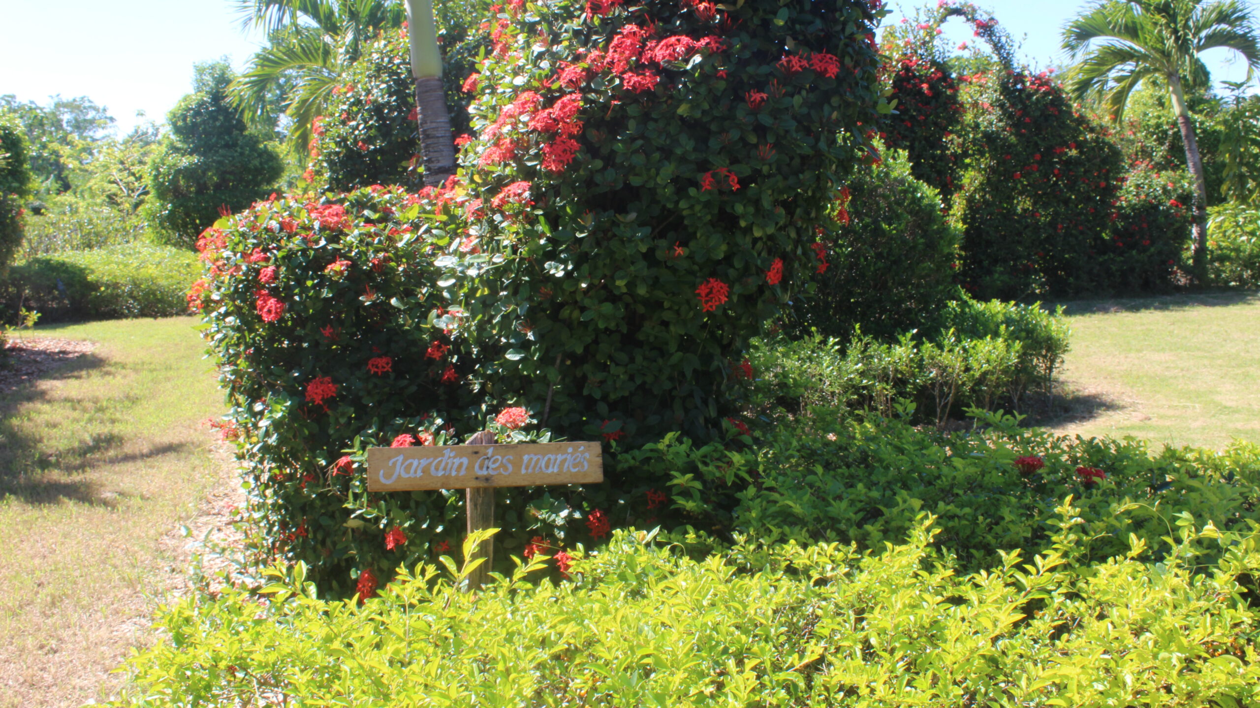 Le Jardin botanique des Cayes maintient ses activités malgré la crise sociopolitique