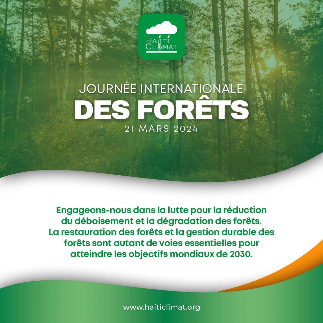 Haïti : Journée internationales des forêts, ACLEDD appelle à une gestion durable des forêts
